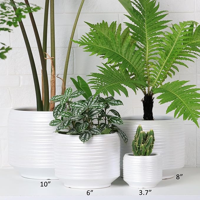 10 Inch Ceramic Plant Pot with Drainage – Large Flower Pot for Indoor Outdoor Plants, Modern Decorative Planter for Patio, Balcony, Garden, or Home Decor-HomvellaHome