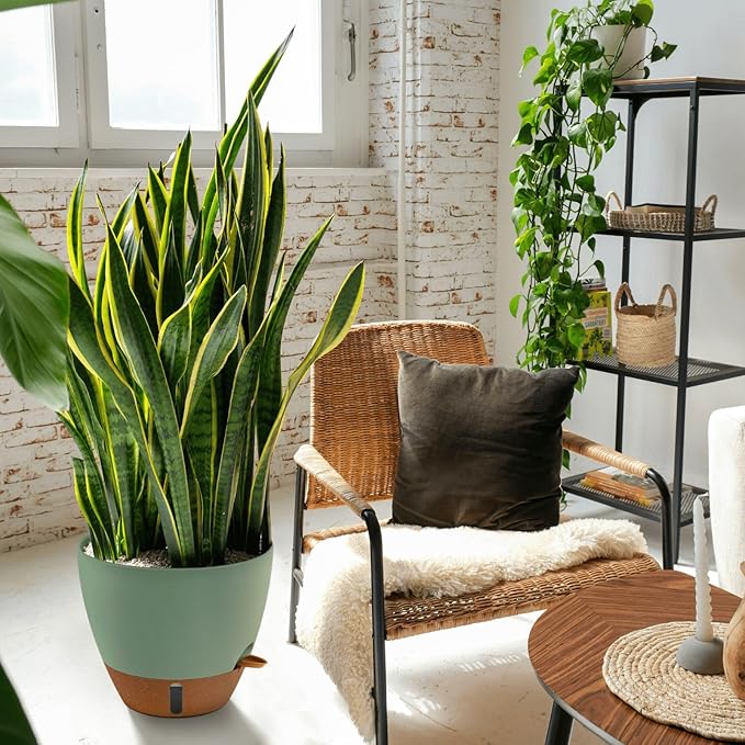 12/10/8 Inch Self Watering Pots for Indoor Plants Plastic Large Plant Pot for Outdoor Plants, Water Level Window & Spacious Reservoir Flower Pots Decorative Planter with Drainage and Tray (Green)-HomvellaHome