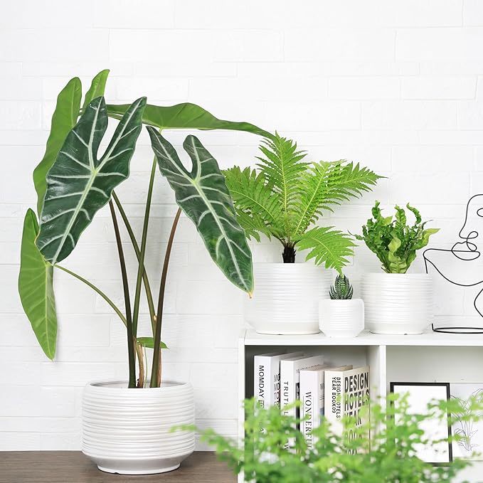 10 Inch Ceramic Plant Pot with Drainage – Large Flower Pot for Indoor Outdoor Plants, Modern Decorative Planter for Patio, Balcony, Garden, or Home Decor-HomvellaHome