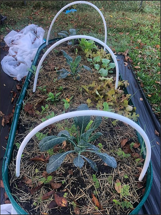 2 Pack 8x4x1FT Galvanized Raised Garden Bed Kit Oval Metal Ground Planter Box Outdoor Bottomless Planter Raised Beds for Vegetables Flowers Herbs Fruits, Green-HomvellaHome