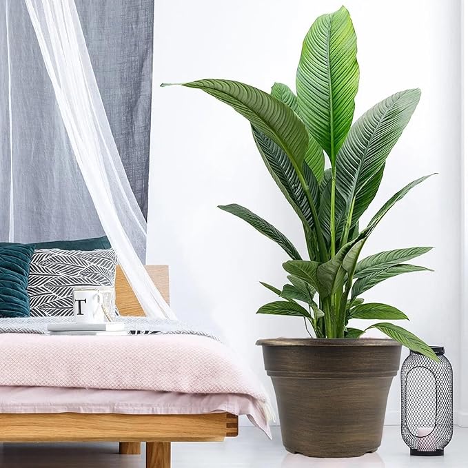 16 inch Plant Pots Outdoor Planters，4 Pack Large Plastic Flower Pot for Indoor Plants with Drainage Holes & Saucer, Resin Decorative Container Sets with Trays for House Outdoor Garden Plant Dark Gold-HomvellaHome