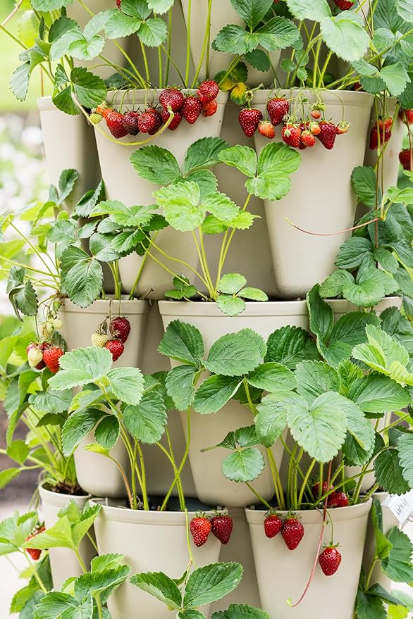 Greenstalk Patented Large 5 Tier Vertical Garden Planter with Patented Internal Watering System Great for Growing a Variety of Strawberries, Vegetables, Herbs, & Flowers (Stunning Stone)-HomvellaHome