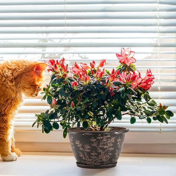 12-inch-Flower-Pots-Outdoor-Indoor, 4 Pack Plastic Planter Pots for Plant with Drainage Hole Saucer, Decorative Resin Garden Container with Tray-HomvellaHome