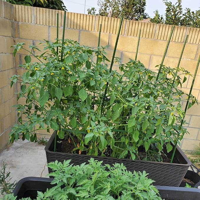 Garden Plant Stakes 48 Inch 4Ft Steel Plant Stick Support, 25 Pack Tomato Stakes for Growing Climbing Plants, Potted Plants, Tomatoes, Trees, Cucumber, Beans, Fences Poles-HomvellaHome