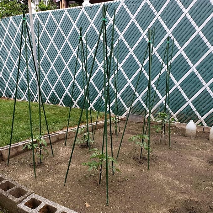 Garden Plant Stakes 57 Inch (Approx 5Ft) Steel Plant Stick Support, 25 Pack Tomato Stakes for Growing Climbing Plants, Potted Plants, Tomatoes, Trees, Cucumber, Beans, Fences Poles-HomvellaHome