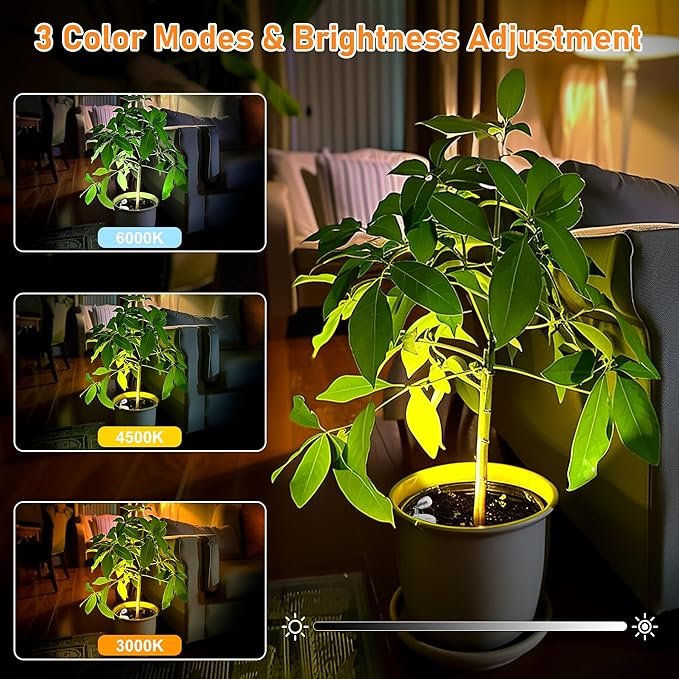 4 Pack Wireless Spot Lights Indoor, Battery Operated Uplighting, Mini Spotlight with Remote 3CCT Tree Lights Indoor, Accent Wall Lights for Display Plant Picture Dartboard-HomvellaHome