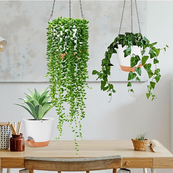 GARDIFE Hanging Planter, 8 inch Hanging planters for Indoor. Outdoor Plants, Self Watering Plant Pot, 2 Pack Large self Watering Hanging Planter (8-White, 8 inch)-HomvellaHome