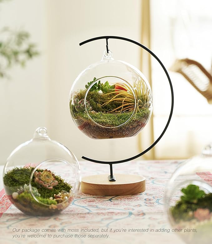 15-Piece Terrarium Kit with Live Moss – DIY Glass Globe Set with Tools, Soil, Stones & Spray Bottle – Indoor Mini Garden Gift for Plant Lovers, Home Decor & Zen Craft-HomvellaHome