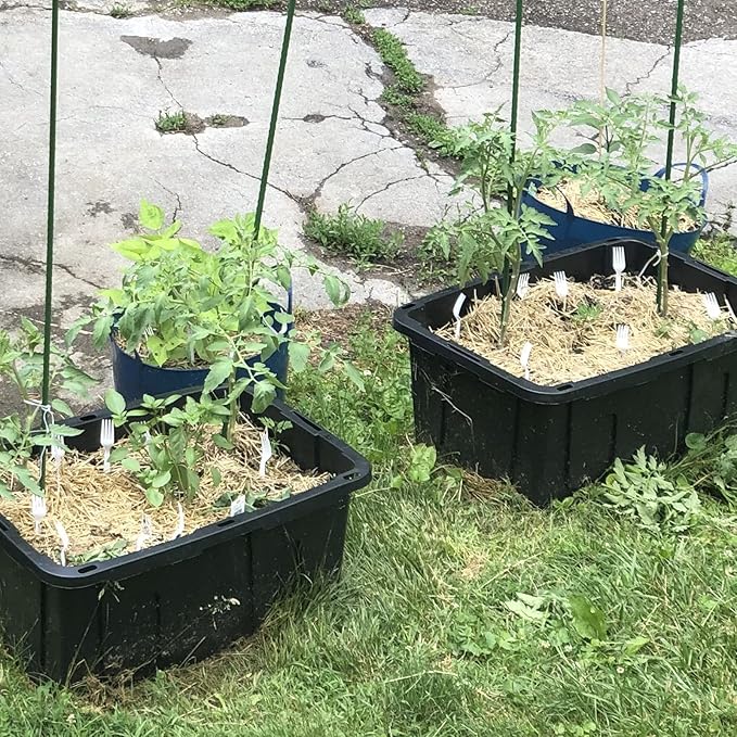 Garden Plant Stakes 24 Inch 2Ft Steel Plant Stick Support, 25 Pack Tomato Stakes for Growing Climbing Plants-HomvellaHome