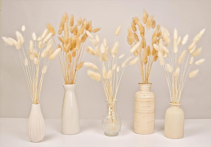 120 PCS Bunny Tails Dried Flowers, Dried Pampas Grass Bouquet, Boho Table Decor, White Pampas Grass Small, Dried Bunny Tails, Pampas Grass for Wedding, Home, Rustic Party, Baby Shower Decorations-HomvellaHome