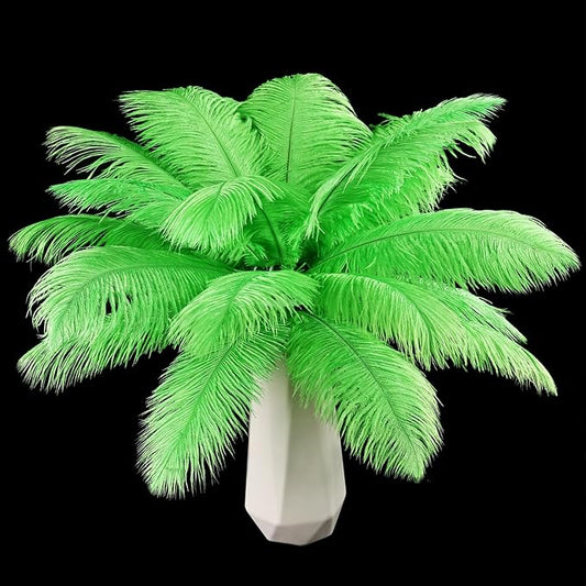 THARAHT Green Ostrich Feathers 24pcs Natural Bulk 10-12Inch 25cm-30cm for Crafts Wedding Party Centerpieces Mardi Gras and Home Decoration Feathers