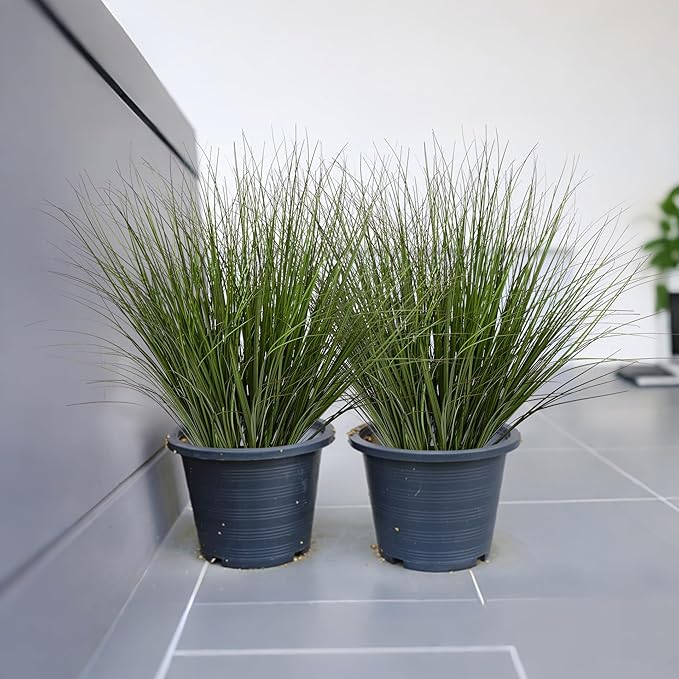 16PCS 17.3" Fake Plants Artificial Wheat Grass Greenery Plastic Plants Fake Grass Artificial Plants for Outdoor Decor Artificial Grass Plant with Greenery Stems for Indoor Home Decoration-HomvellaHome