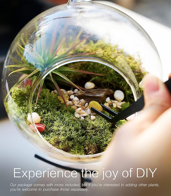 15-Piece Terrarium Kit with Live Moss – DIY Glass Globe Set with Tools, Soil, Stones & Spray Bottle – Indoor Mini Garden Gift for Plant Lovers, Home Decor & Zen Craft-HomvellaHome