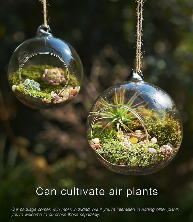 15-Piece Terrarium Kit with Live Moss – DIY Glass Globe Set with Tools, Soil, Stones & Spray Bottle – Indoor Mini Garden Gift for Plant Lovers, Home Decor & Zen Craft-HomvellaHome