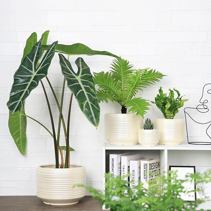 10 Inch Ceramic Plant Pot with Drainage – Large Flower Pot for Indoor Outdoor Plants, Modern Decorative Planter for Patio, Balcony, Garden, or Home Decor-HomvellaHome