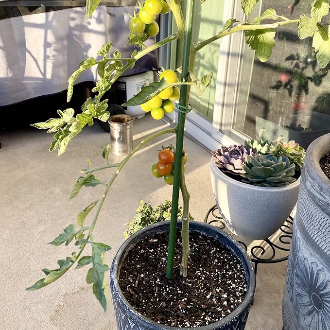 Garmeinea Garden Stakes 24 Inches Plastic Coated Steel Plant Stakes for Growing Climbing Plants, Pack of 25-HomvellaHome