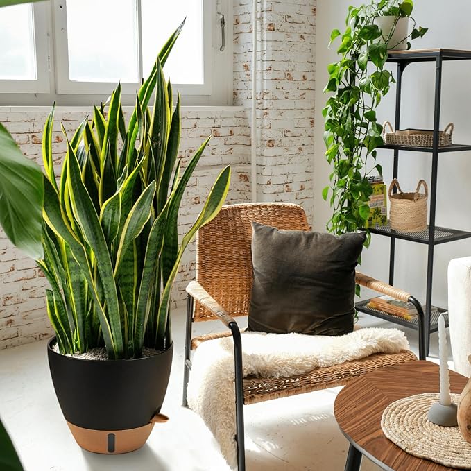 12/10/8 Inch Self Watering Pots for Indoor Plants Plastic Large Plant Pot for Outdoor Plants, Water Level Window & Spacious Reservoir Flower Pots Decorative Planter with Drainage and Tray (Black)-HomvellaHome