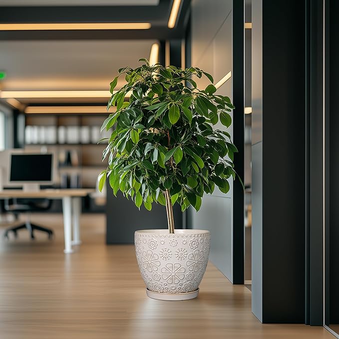 10 Inch Ceramic Planter Pot Large Plant Pot for Indoor Plants Outdoor Round Flower Pot with Drainage Hole and Saucer for Home Garden Decor White-HomvellaHome