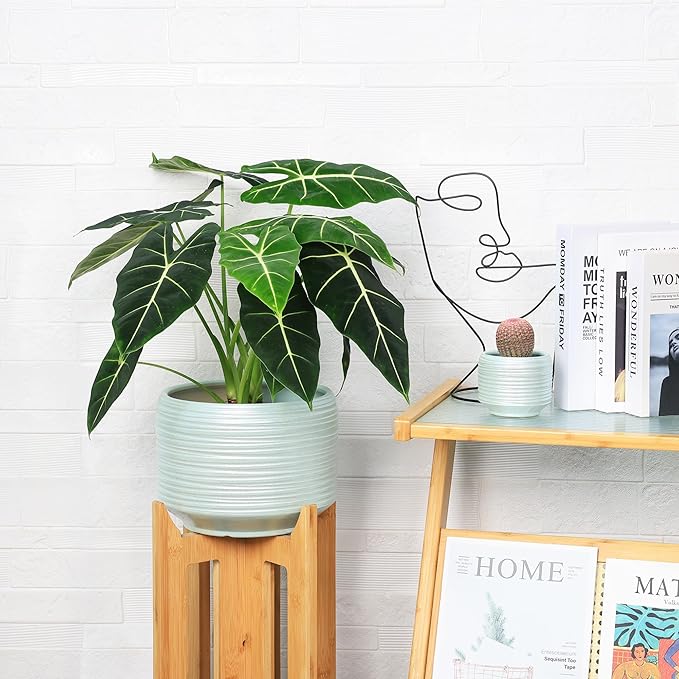 10 Inch Ceramic Plant Pot with Drainage – Large Flower Pot for Indoor Outdoor Plants, Modern Decorative Planter for Patio, Balcony, Garden, or Home Decor-HomvellaHome