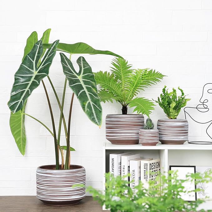 10 Inch Ceramic Plant Pot with Drainage – Large Flower Pot for Indoor Outdoor Plants, Modern Decorative Planter for Patio, Balcony, Garden, or Home Decor-HomvellaHome