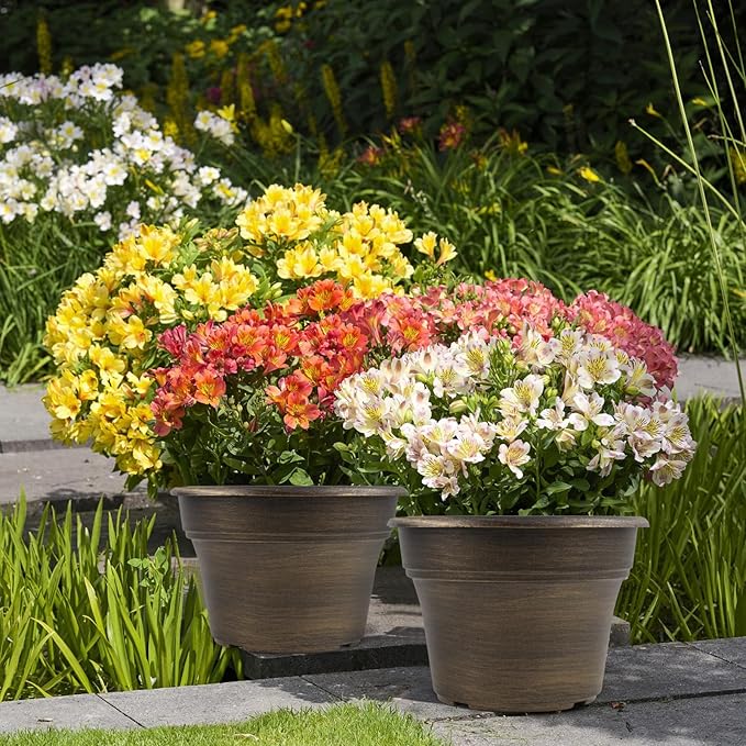 16 inch Plant Pots Outdoor Planters，4 Pack Large Plastic Flower Pot for Indoor Plants with Drainage Holes & Saucer, Resin Decorative Container Sets with Trays for House Outdoor Garden Plant Dark Gold-HomvellaHome