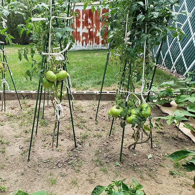 Garden Plant Stakes 57 Inch (Approx 5Ft) Steel Plant Stick Support, 25 Pack Tomato Stakes for Growing Climbing Plants, Potted Plants, Tomatoes, Trees, Cucumber, Beans, Fences Poles-HomvellaHome