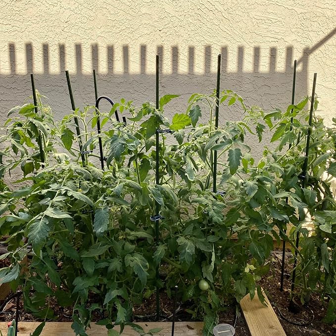 Garmeinea Garden Stakes 48 Inches Plastic Coated Steel Plant Stakes for Growing Climbing Plants, Pack of 25-HomvellaHome