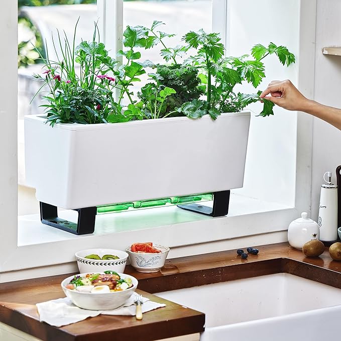 Glowpear Self-Watering Mini Bench Planter - 23.6" in Pot, Free Standing, UV Stable, Scalable, Indoor | Outdoor Pot with Water Gauge, for Home Kitchen Windowsill Gardening-HomvellaHome