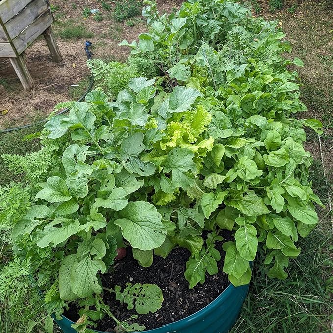 2 Pack 8x4x1FT Galvanized Raised Garden Bed Kit Oval Metal Ground Planter Box Outdoor Bottomless Planter Raised Beds for Vegetables Flowers Herbs Fruits, Green-HomvellaHome