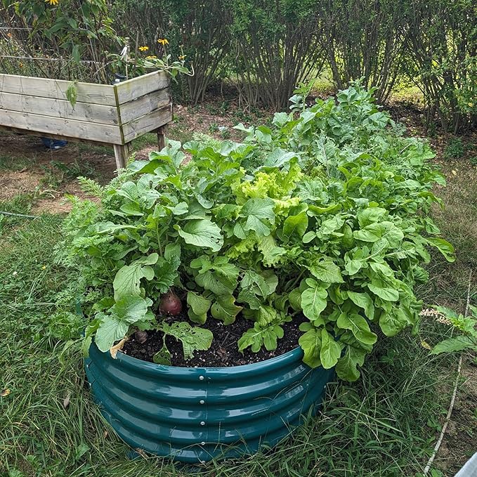 1 Pack 8x3x1.5FT Galvanized Raised Garden Bed Kit Oval Metal Ground Planter Box Outdoor Bottomless Planter Raised Beds for Vegetables Flowers Herbs Fruits, Green-HomvellaHome