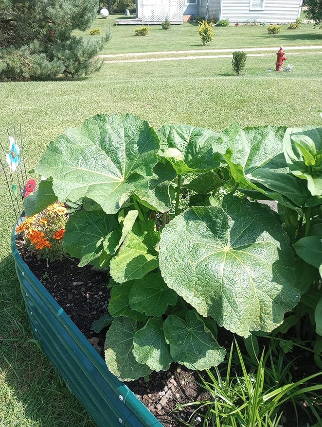 2 Pack 8x4x1FT Galvanized Raised Garden Bed Kit Oval Metal Ground Planter Box Outdoor Bottomless Planter Raised Beds for Vegetables Flowers Herbs Fruits, Green-HomvellaHome