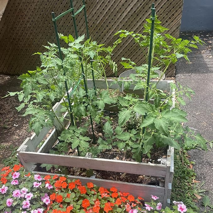 Garmeinea Garden Stakes 57 Inches Plastic Coated Steel Plant Stakes for Growing Climbing Plants, Pack of 25-HomvellaHome