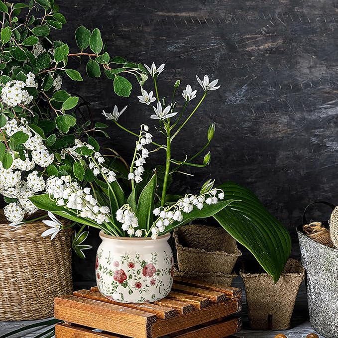 1 Pcs Vintage Planter Large Ceramic Plants Pot Red Plum Crack Cottage Scroll Vase Flower Vase Pot Indoor Plants Home Kitchen Decor Farmhouse Antique Decorative Gift-HomvellaHome